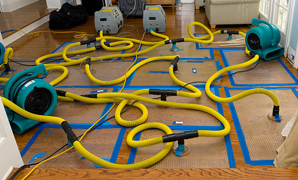 Professional Water Damage Restoration technician working in Erie, MI